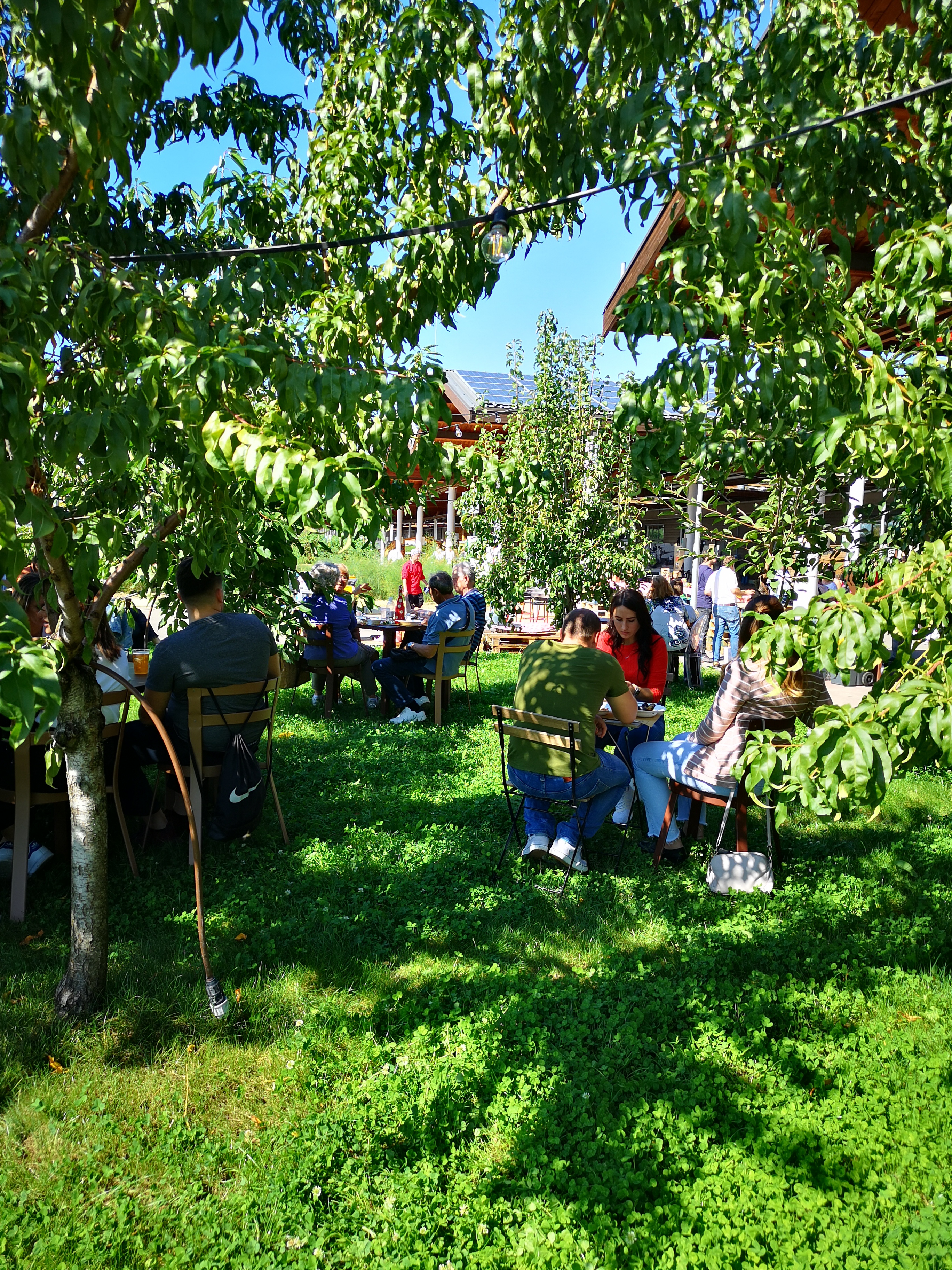 FICO, il Parco dove la primavera ha un sapore speciale - PaesiOnLine